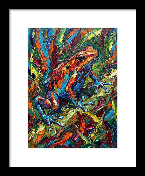 Poison Dart Frog Vibrance