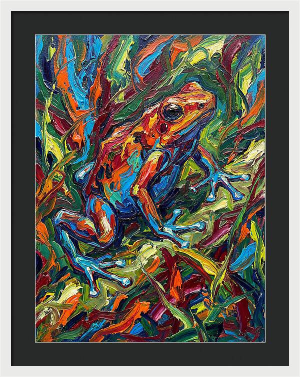 Poison Dart Frog Vibrance
