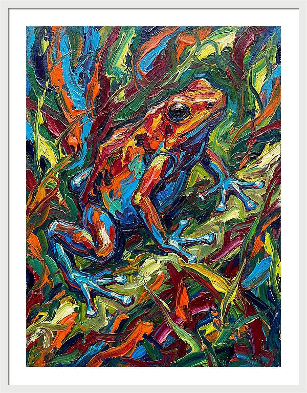 Poison Dart Frog Vibrance