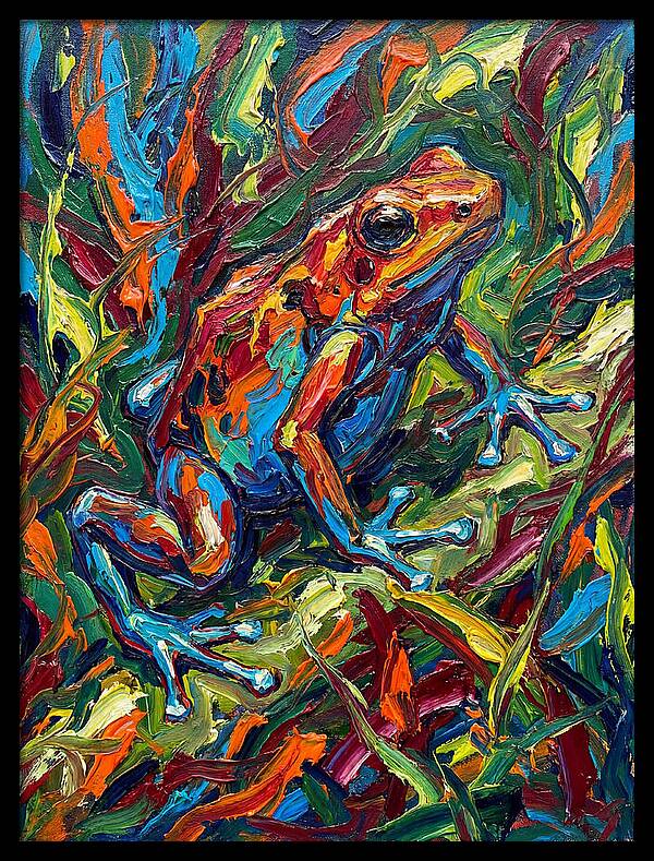 Poison Dart Frog Vibrance