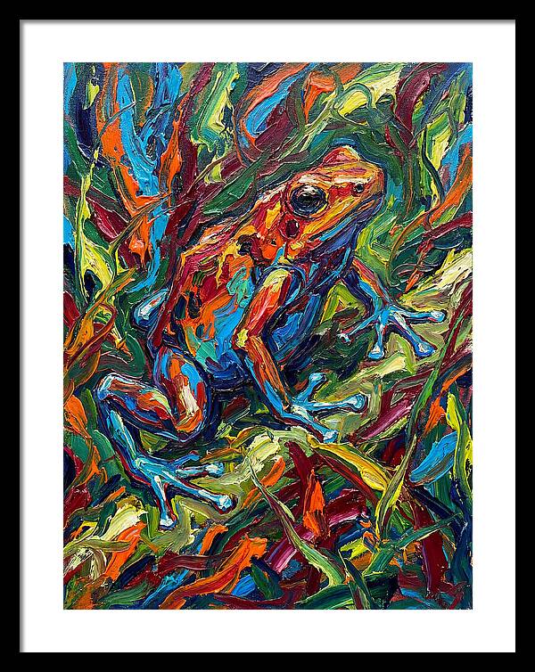 Poison Dart Frog Vibrance