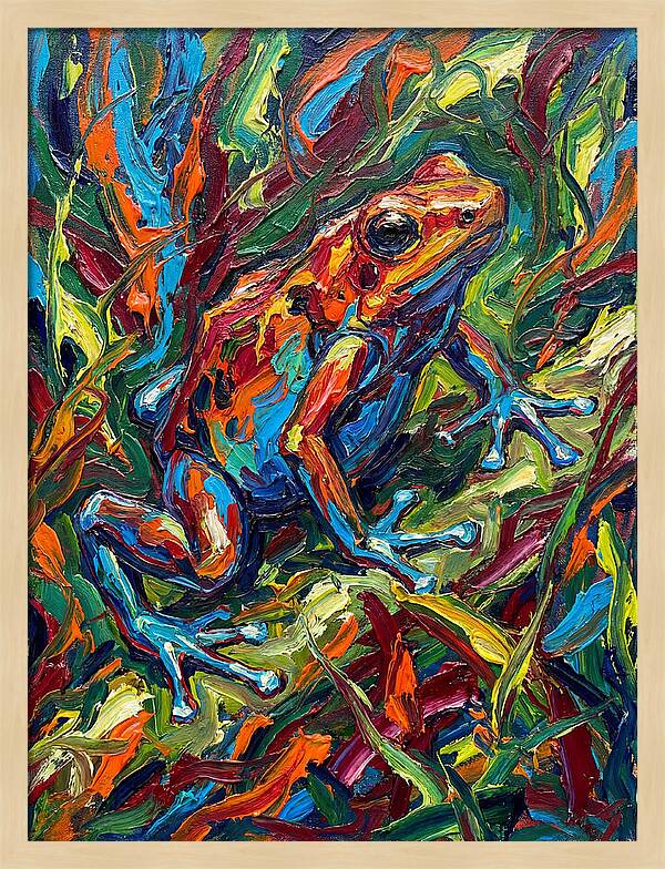 Poison Dart Frog Vibrance