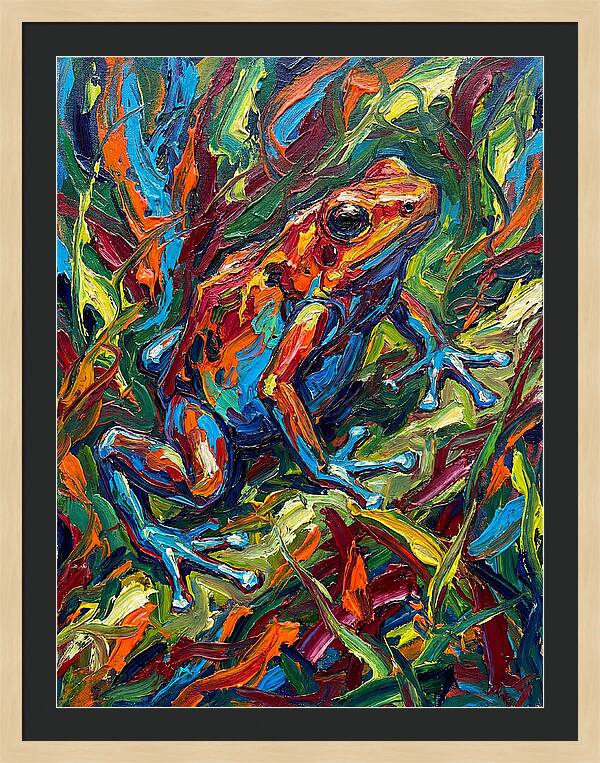 Poison Dart Frog Vibrance