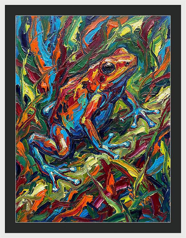 Poison Dart Frog Vibrance