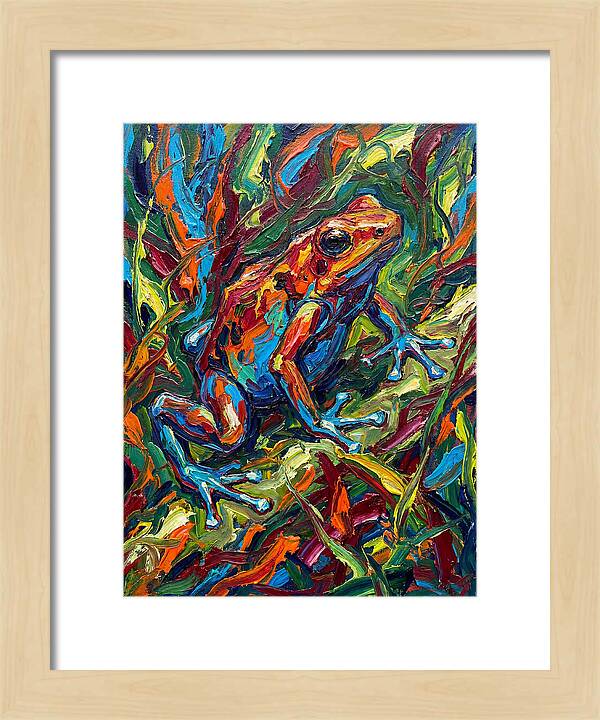 Poison Dart Frog Vibrance