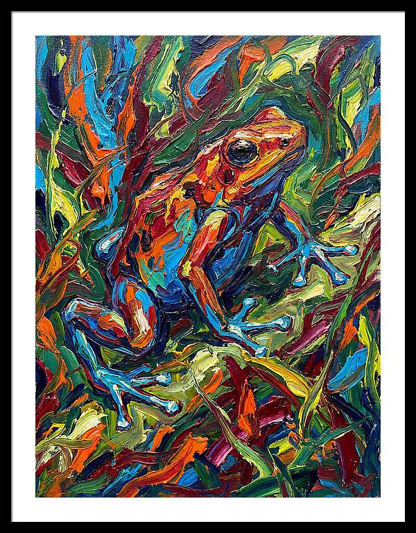 Poison Dart Frog Vibrance