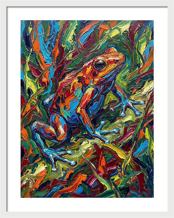 Poison Dart Frog Vibrance