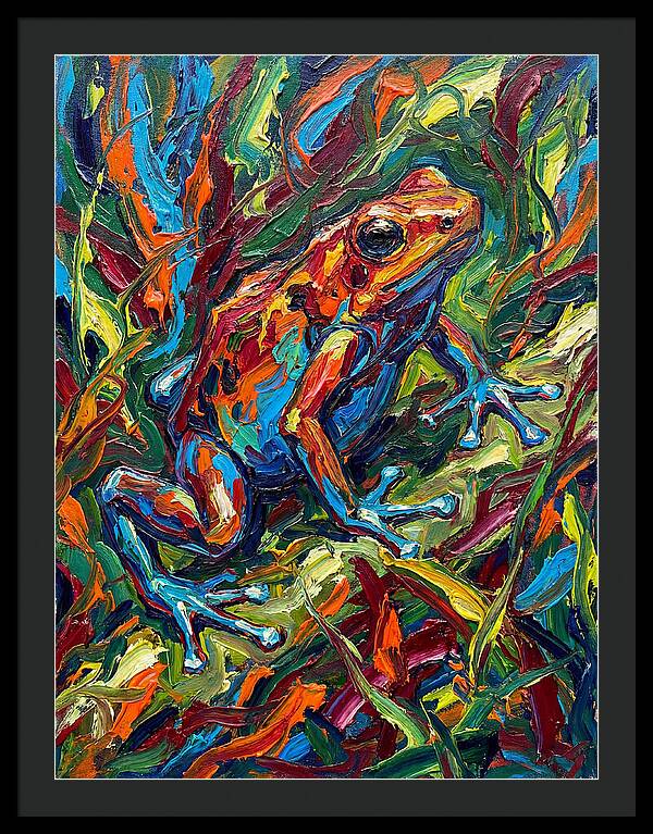 Poison Dart Frog Vibrance