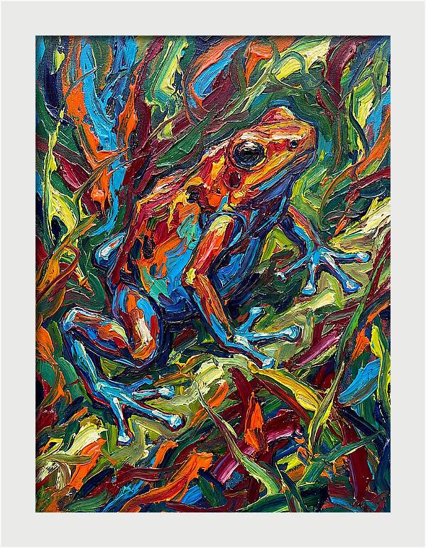 Poison Dart Frog Vibrance