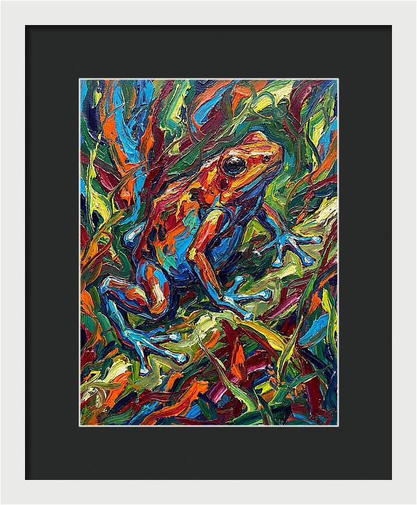 Poison Dart Frog Vibrance