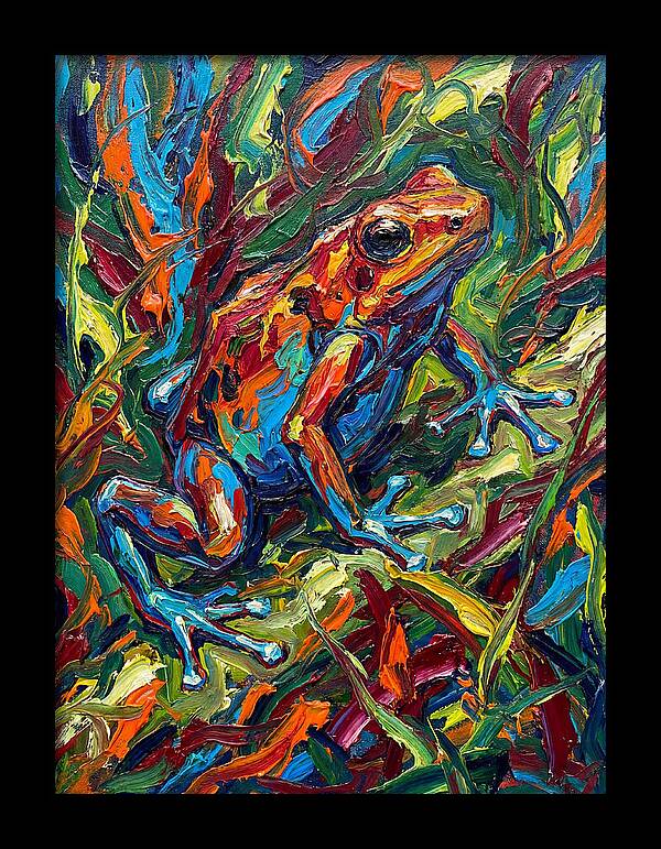 Poison Dart Frog Vibrance