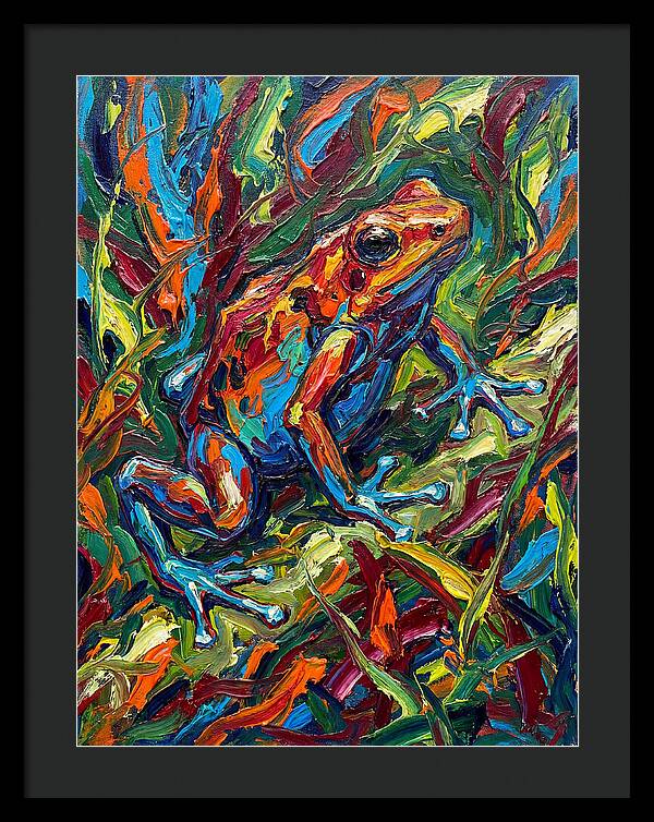 Poison Dart Frog Vibrance
