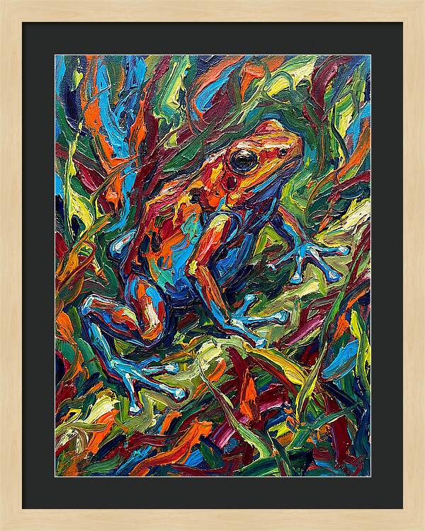 Poison Dart Frog Vibrance