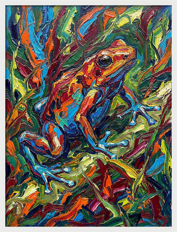 Poison Dart Frog Vibrance