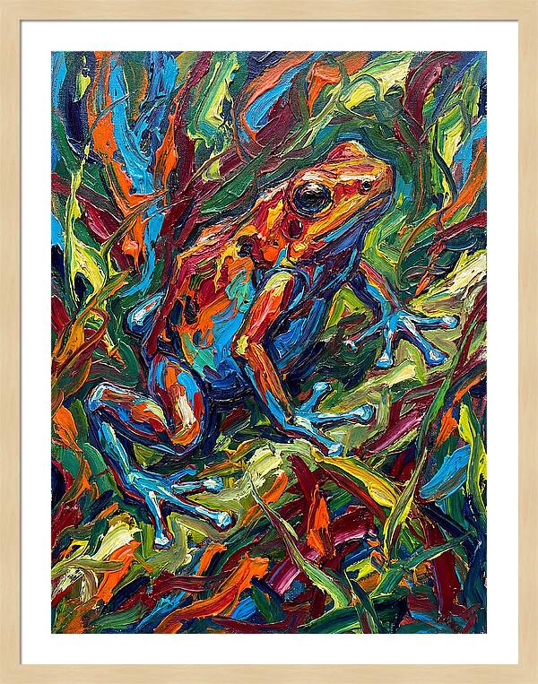 Poison Dart Frog Vibrance
