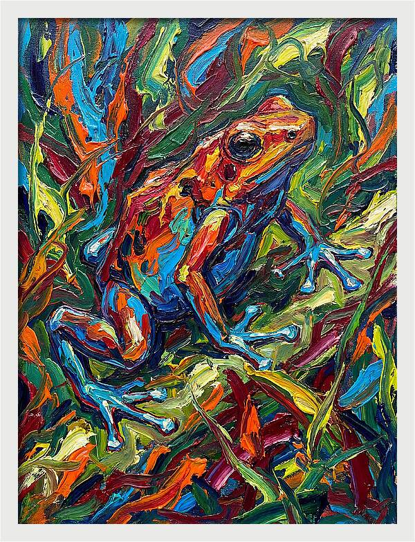 Poison Dart Frog Vibrance