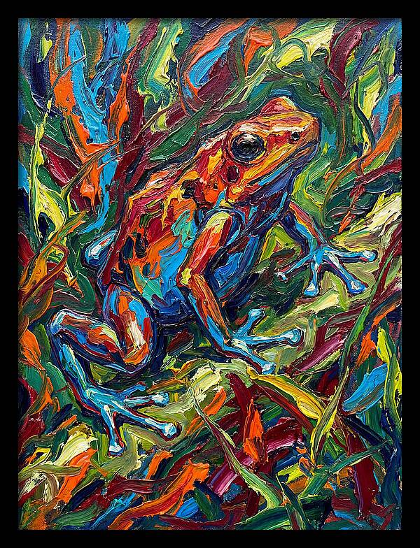 Poison Dart Frog Vibrance