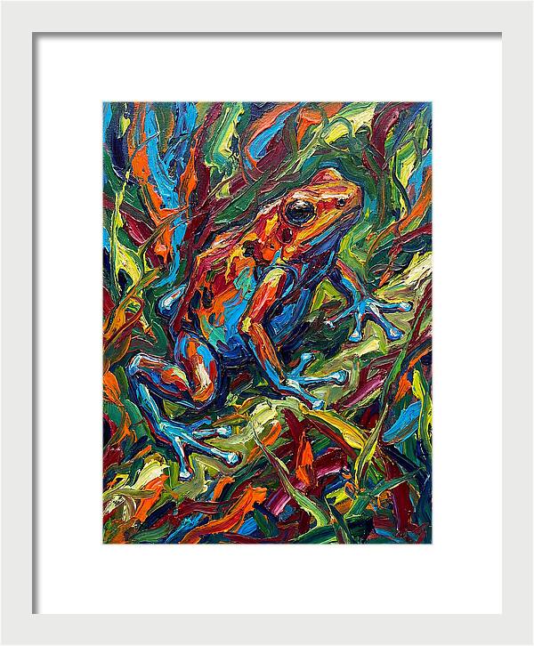 Poison Dart Frog Vibrance
