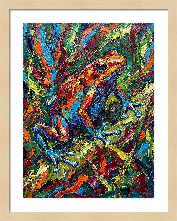 Poison Dart Frog Vibrance