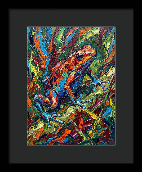 Poison Dart Frog Vibrance