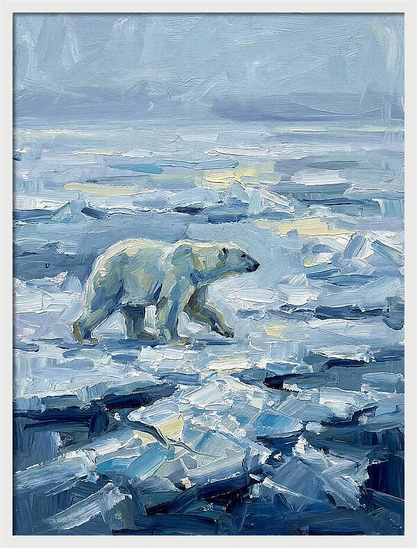 Polar Bear On Ice