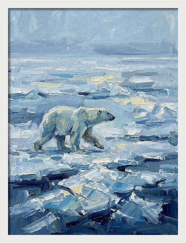 Polar Bear On Ice