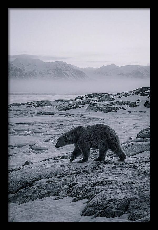 Polar Bear On Svalbard Ice