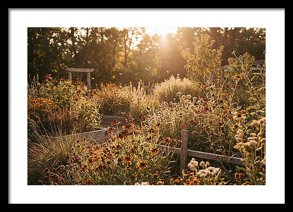 Pollinator Garden Alive With Insects