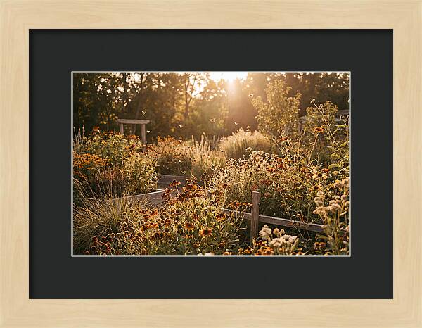 Pollinator Garden Alive With Insects