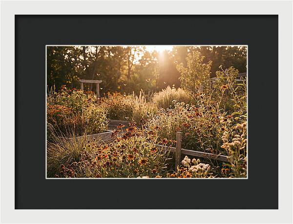 Pollinator Garden Alive With Insects