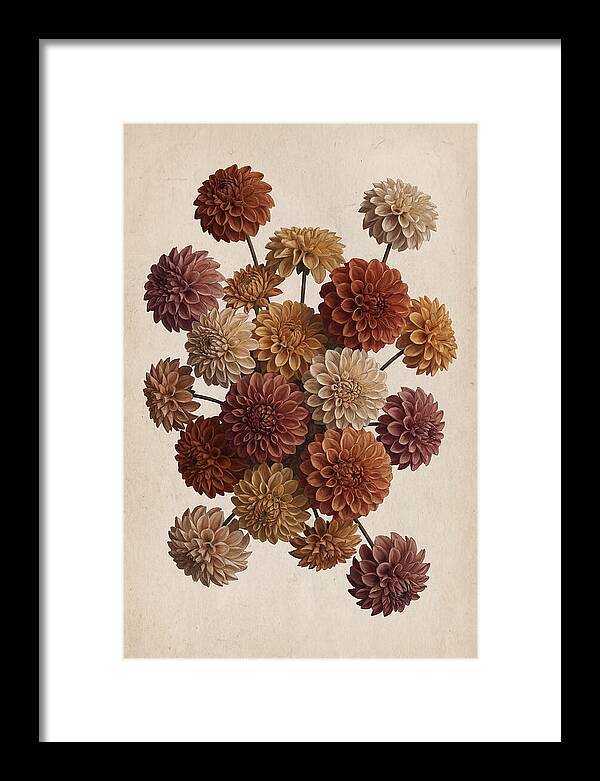 Pompon Dahlias In Mixed Autumn Colors