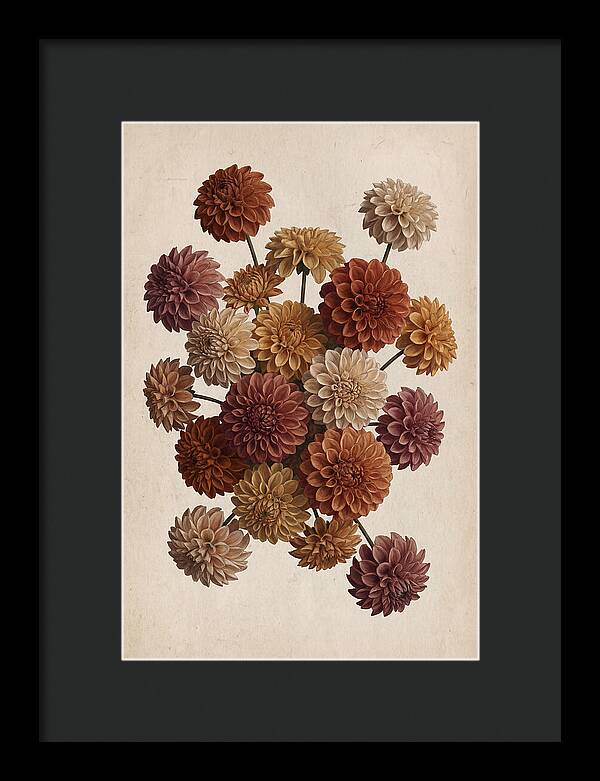 Pompon Dahlias In Mixed Autumn Colors