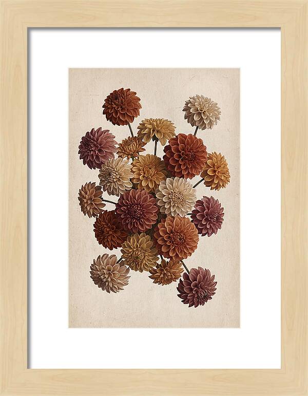 Pompon Dahlias In Mixed Autumn Colors