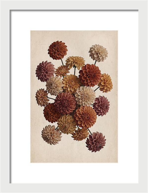 Pompon Dahlias In Mixed Autumn Colors