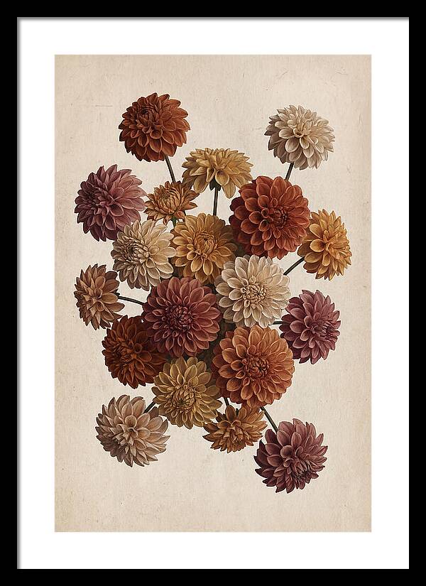Pompon Dahlias In Mixed Autumn Colors
