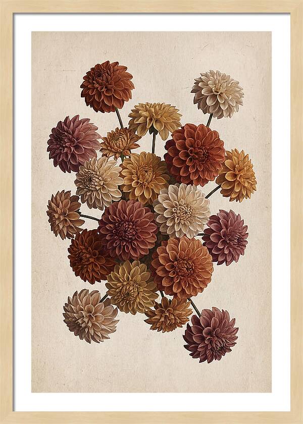 Pompon Dahlias In Mixed Autumn Colors