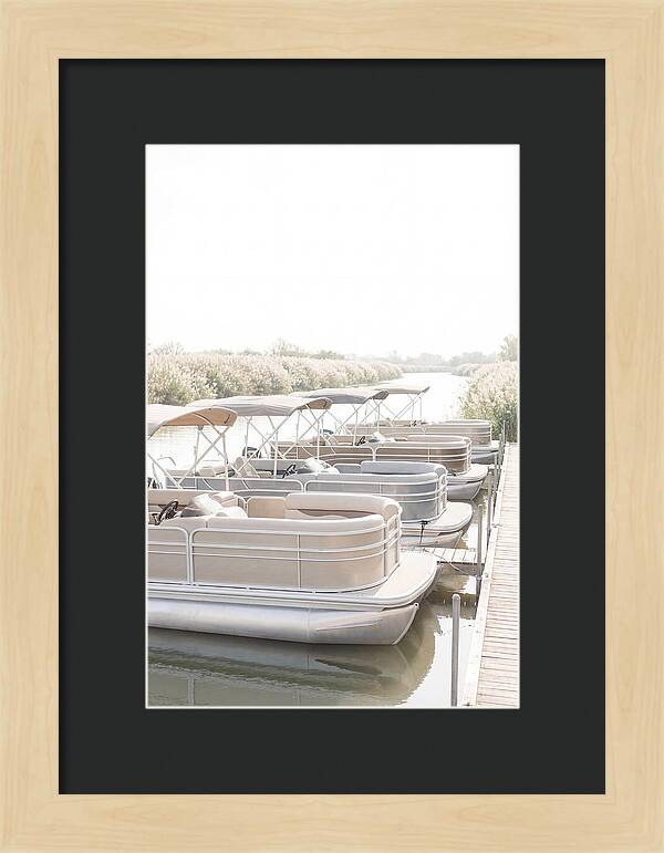 Pontoon Boats Along Reed Lined River