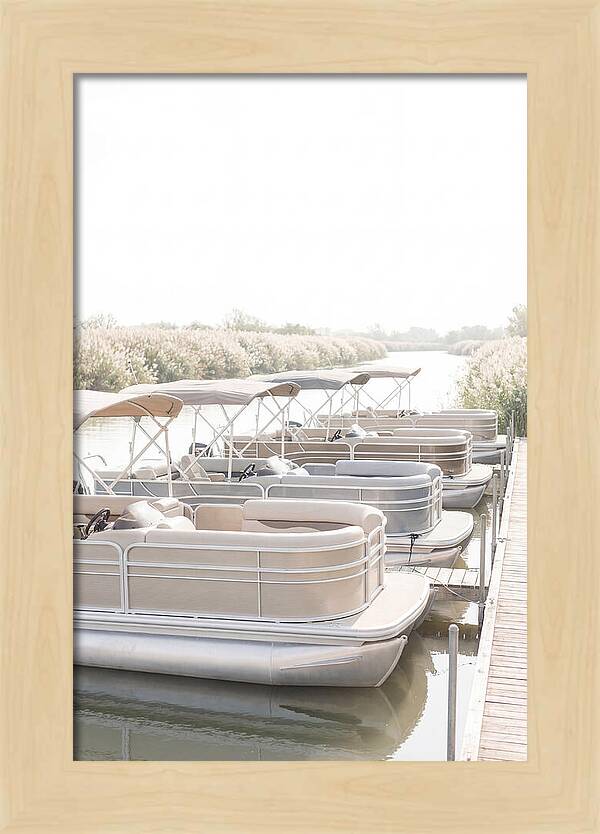 Pontoon Boats Along Reed Lined River
