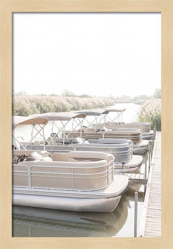 Pontoon Boats Along Reed Lined River