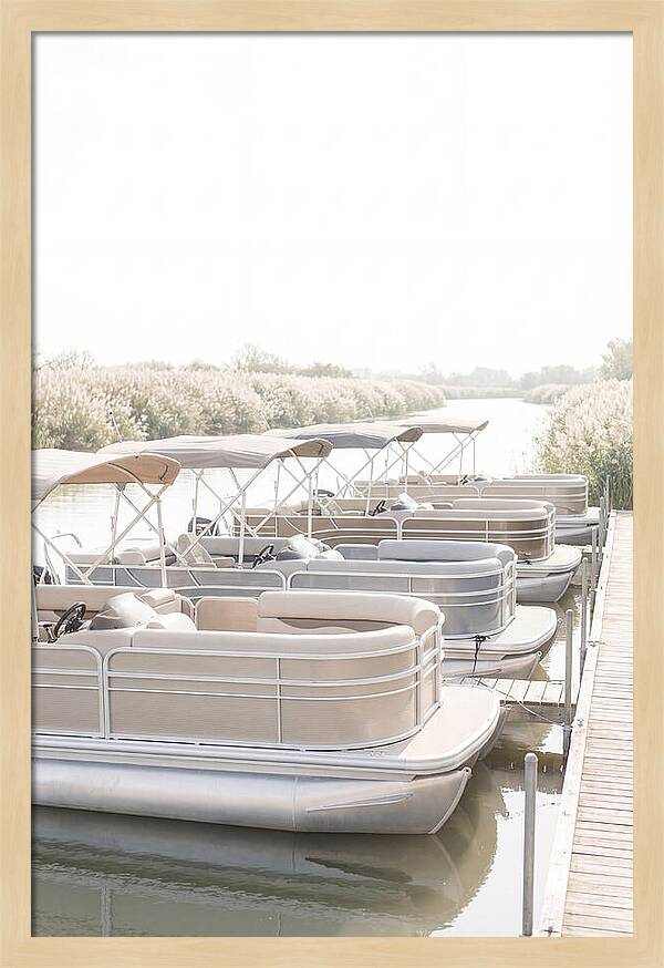 Pontoon Boats Along Reed Lined River