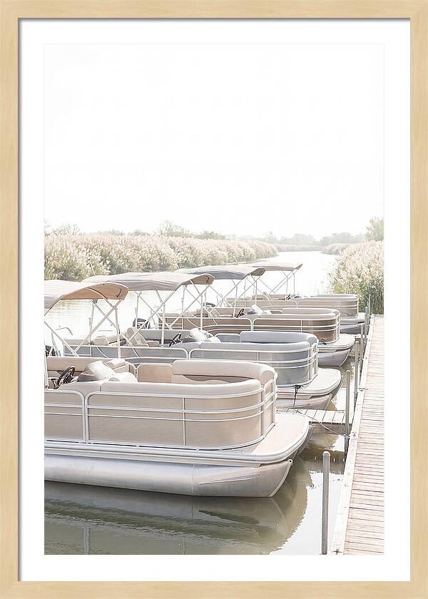 Pontoon Boats Along Reed Lined River