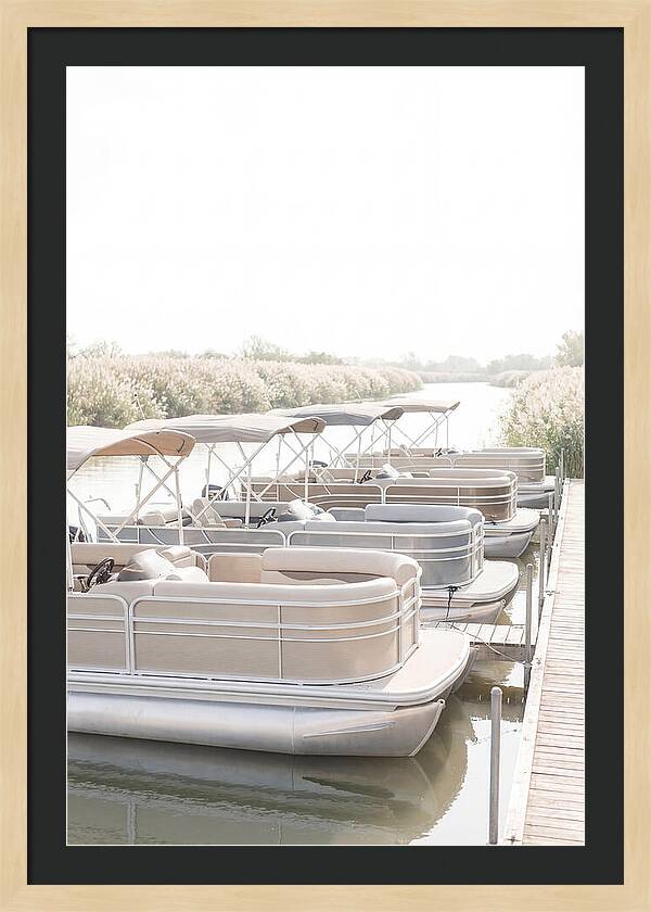 Pontoon Boats Along Reed Lined River