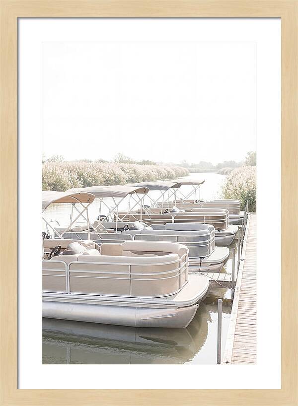 Pontoon Boats Along Reed Lined River