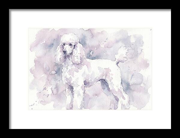 Poodle In Soft Watercolor