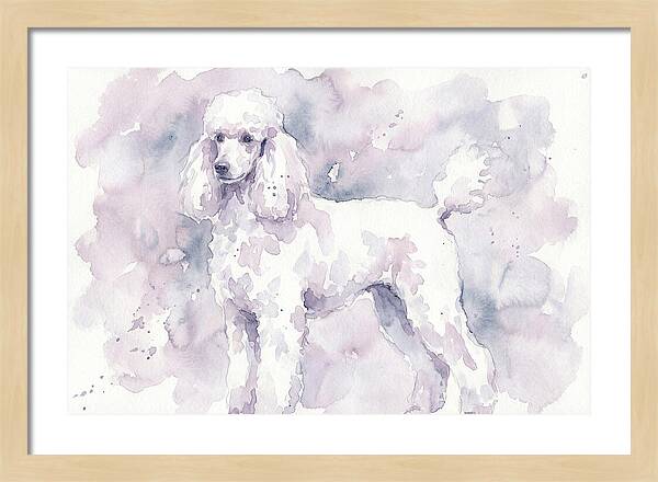 Poodle In Soft Watercolor