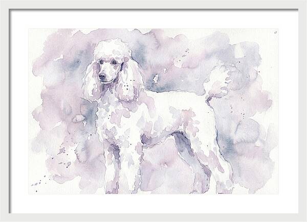 Poodle In Soft Watercolor