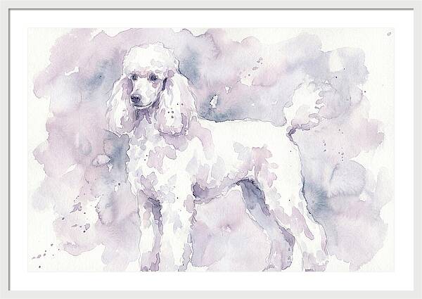 Poodle In Soft Watercolor
