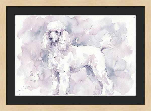 Poodle In Soft Watercolor