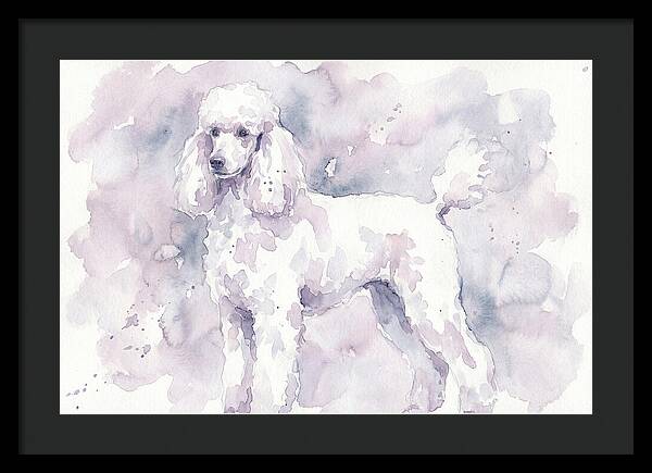 Poodle In Soft Watercolor
