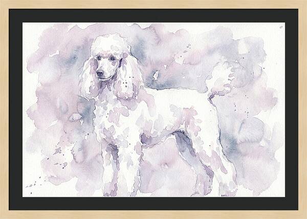 Poodle In Soft Watercolor